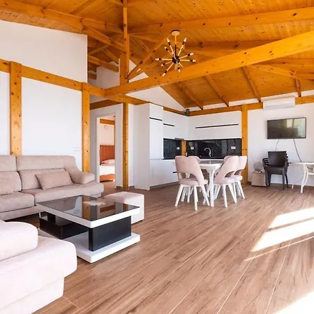 Duplex Penthouse 公寓 *